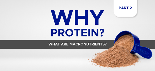 Why protein part 2