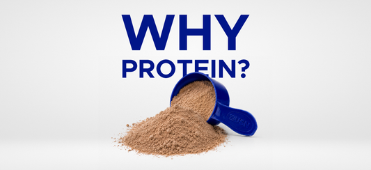 Why Protein