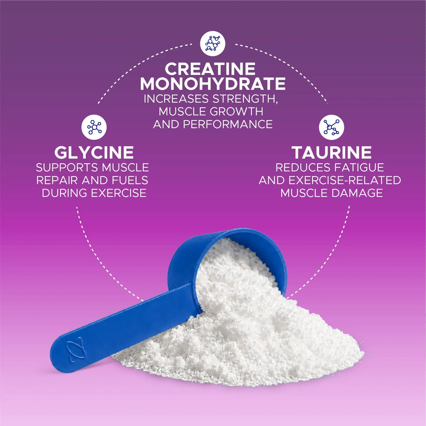 3-in-1 Creatine Monohydrate & Aminos
