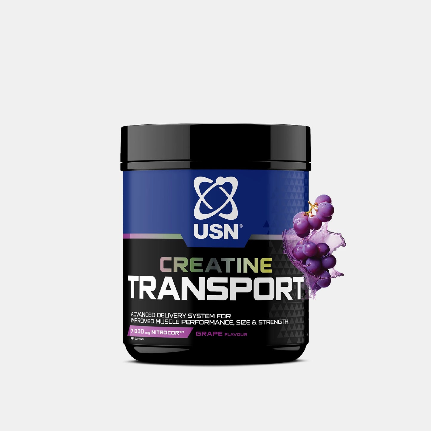 Creatine Transport