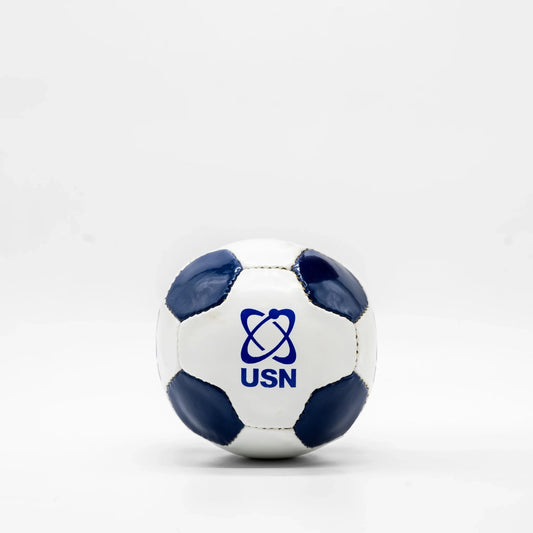 🎁 USN Mini Soccer Ball (100% off)